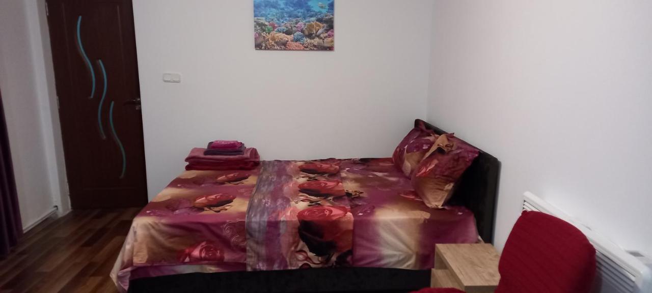 Strada Banu Mihalcea Nr. 150 Villa Констанца Екстериор снимка