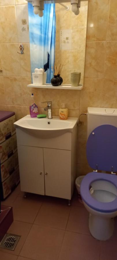 Strada Banu Mihalcea Nr. 150 Villa Констанца Екстериор снимка